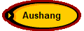 Aushang